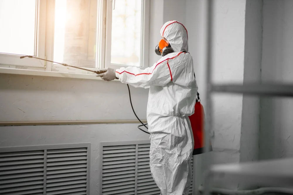 Professional mold remediation services in Gibbstown, NJ